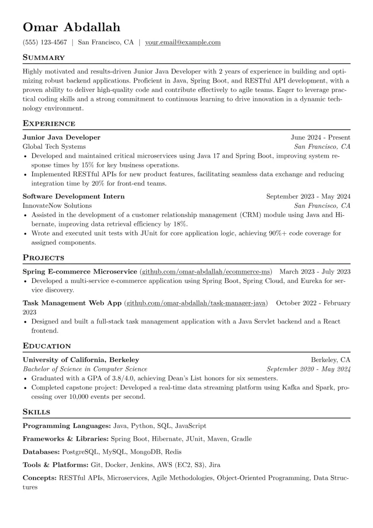 Junior Java Developer Resume Example preview