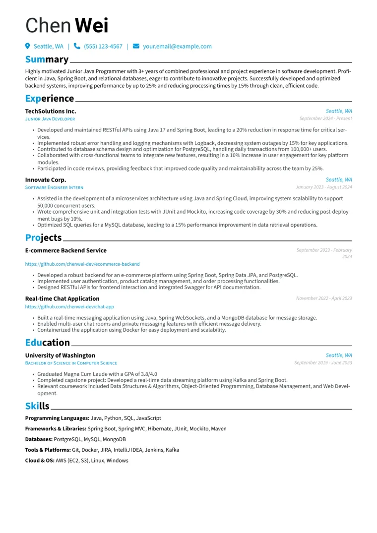 Junior Java Programmer Resume Example preview