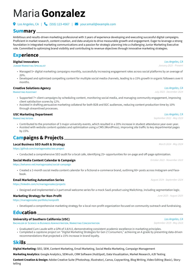 Junior Marketing Executive Resume Example preview