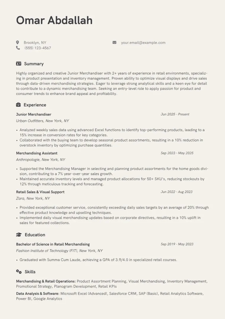 Junior Merchandiser Resume Example CV template preview