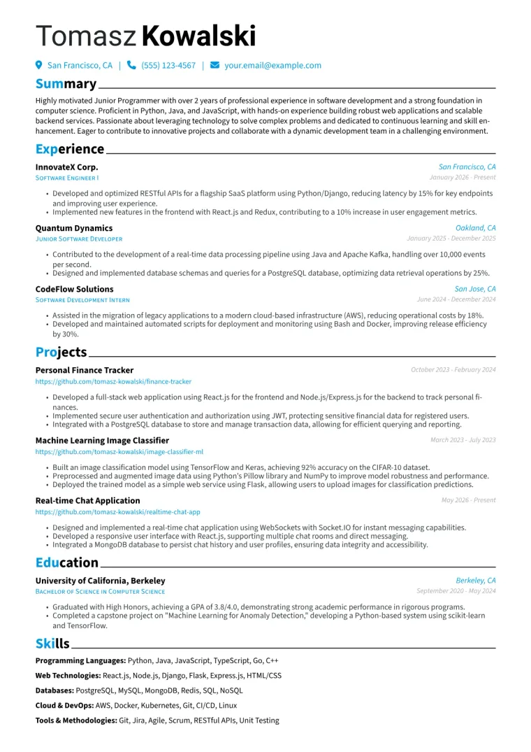Junior Programmer Resume Example CV template preview
