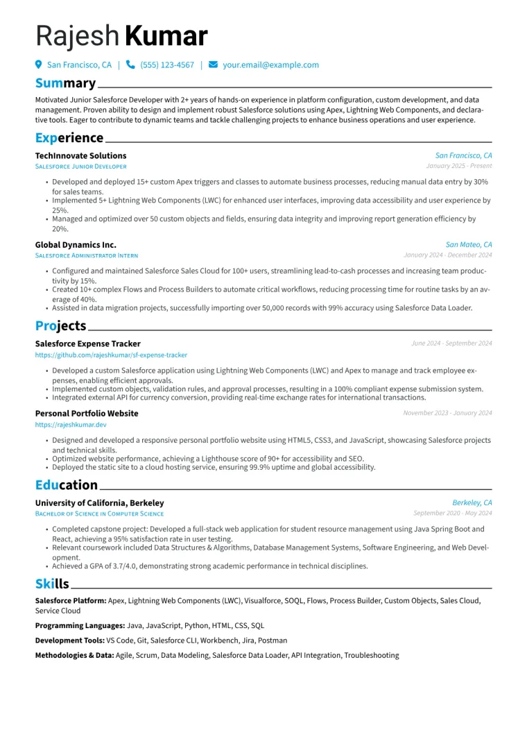Junior Salesforce Developer Resume Example CV template preview