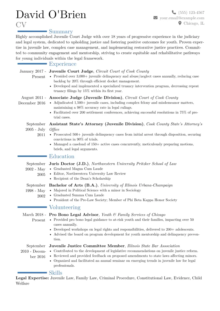 Juvenile Court Judge Resume Example CV template preview