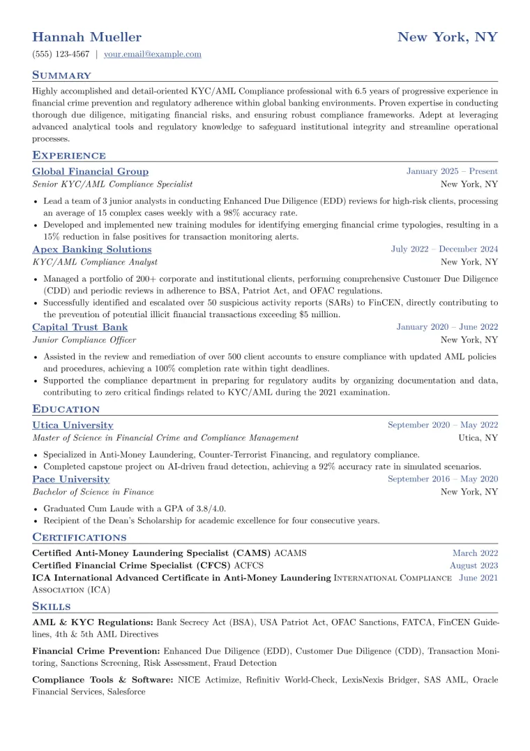 KYC AML Analyst Resume Example CV template preview