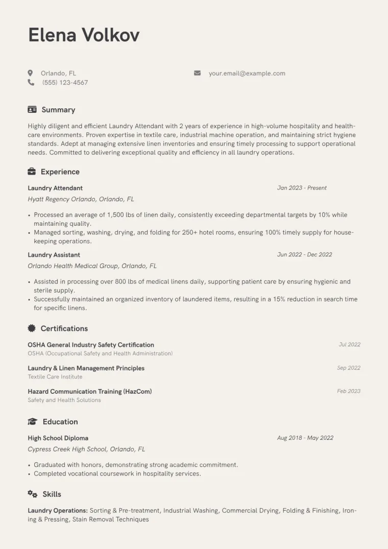 Laundry Attendant Resume Example CV template preview