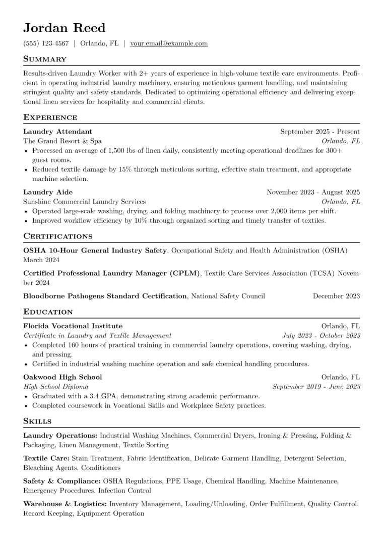 Laundry Worker Resume Example CV template preview