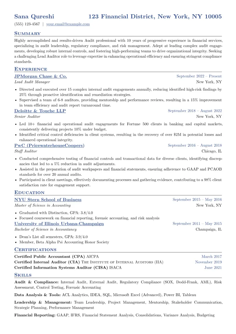 Lead Auditor Resume Example preview