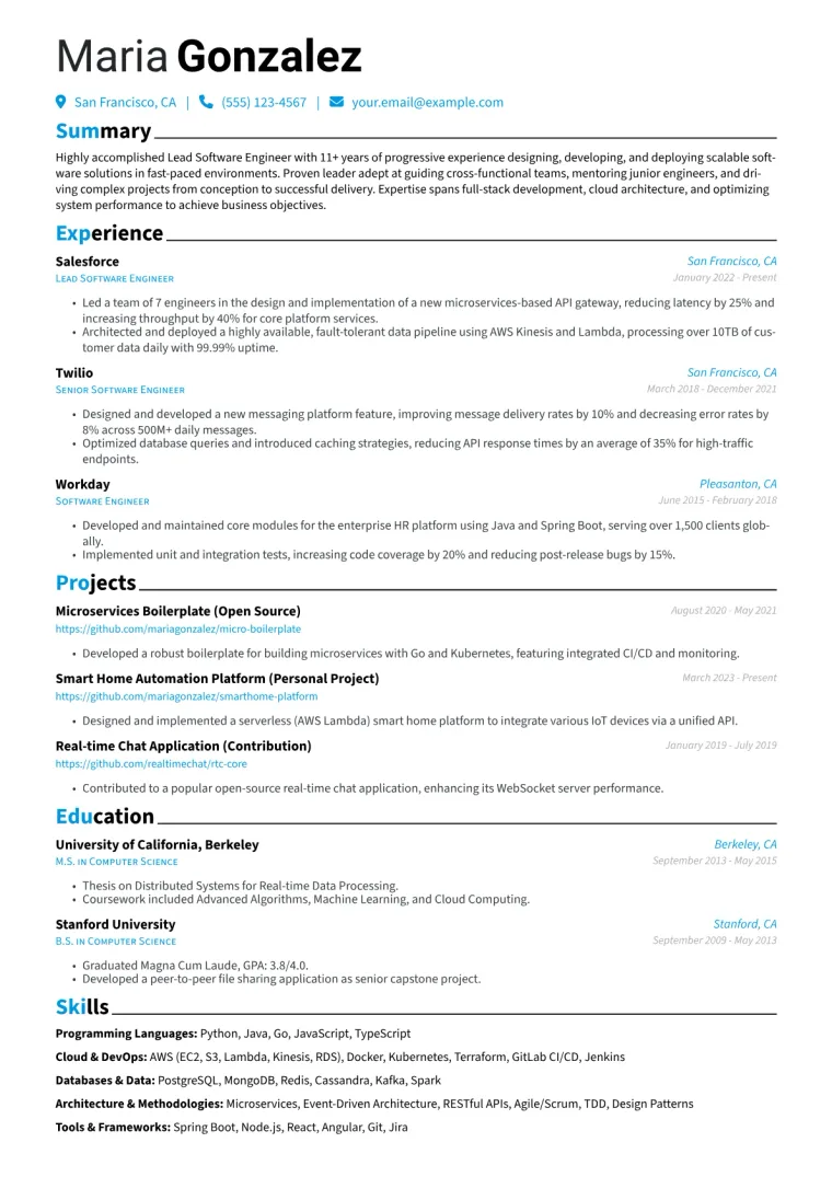 Lead Developer Resume Example CV template preview