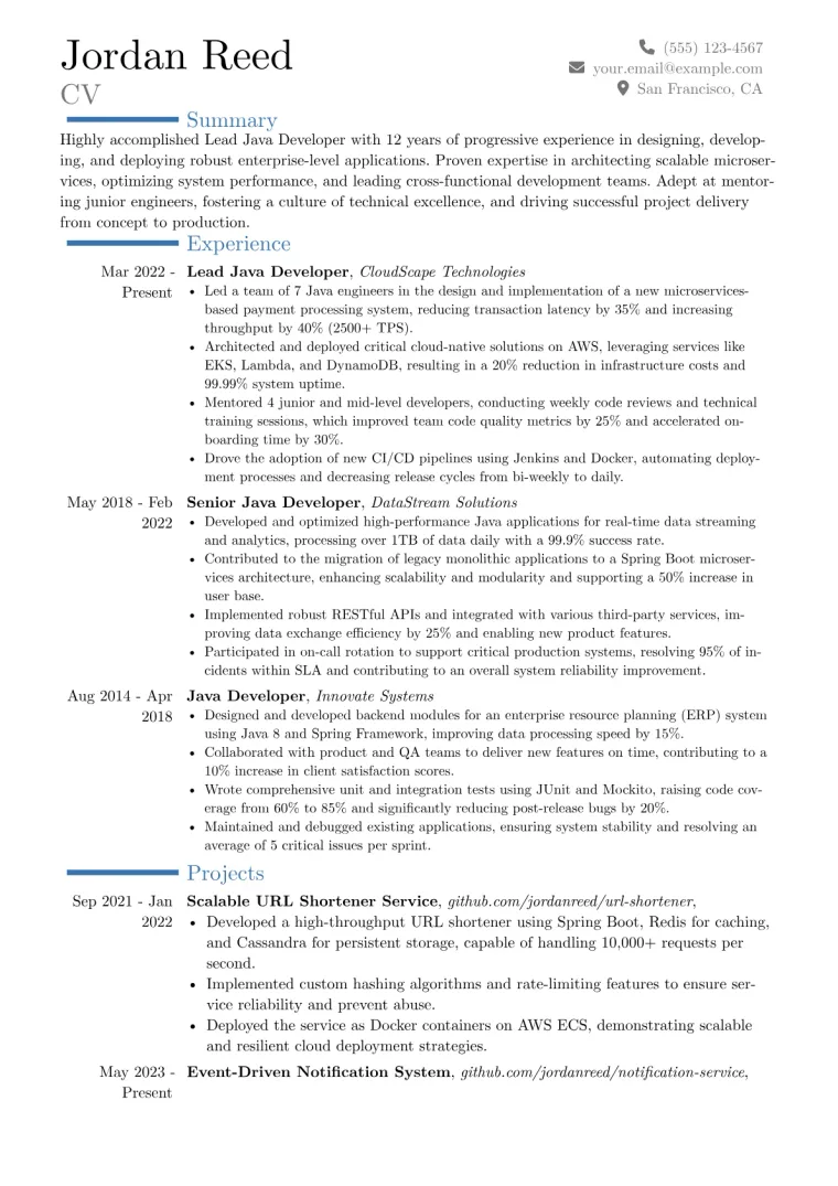 Lead Java Developer Resume Example preview
