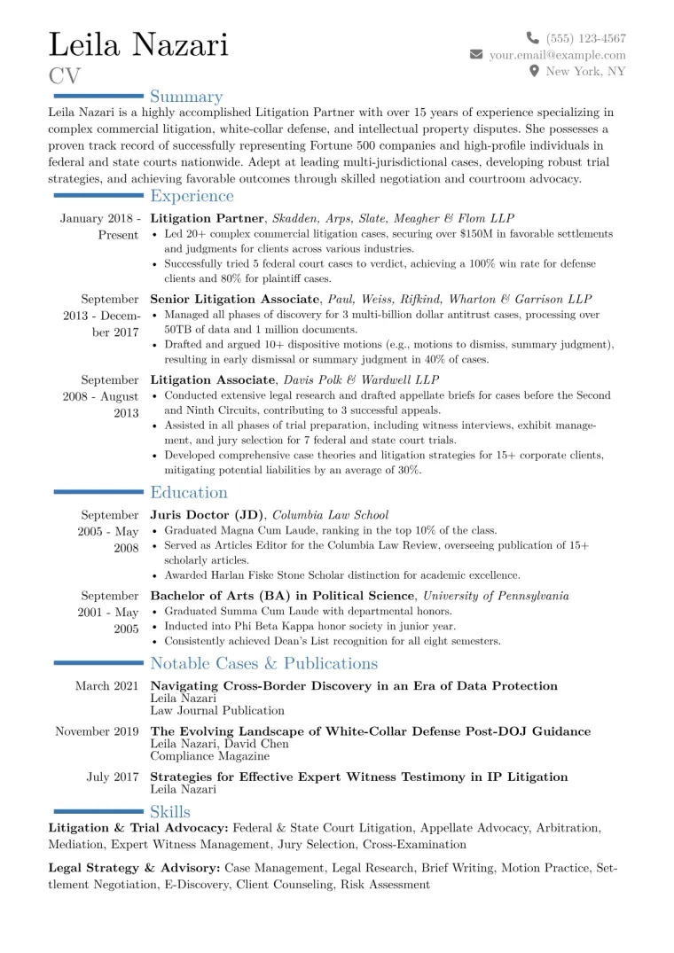 Litigation Partner Resume Example CV template preview