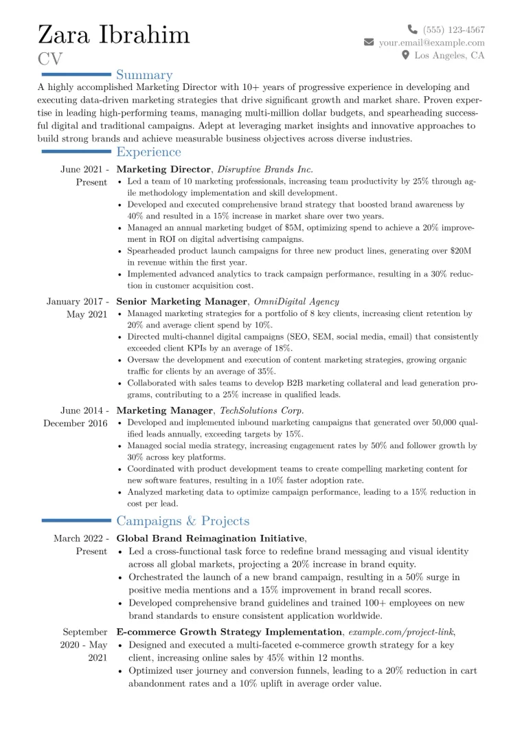 Marketing Director Resume Example CV template preview