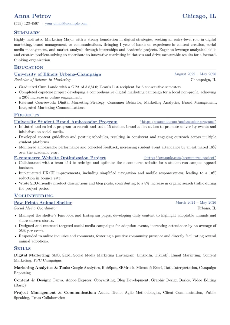 Marketing Major Resume Example CV template preview
