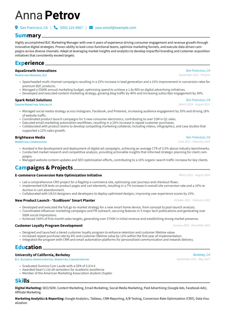 Marketing Manager B2C Resume Example CV template preview