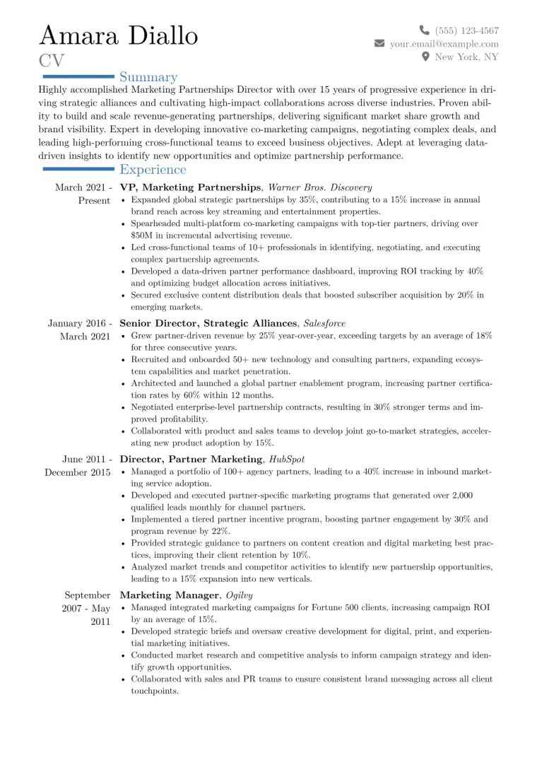 Marketing Partnerships Director Resume Example CV template preview