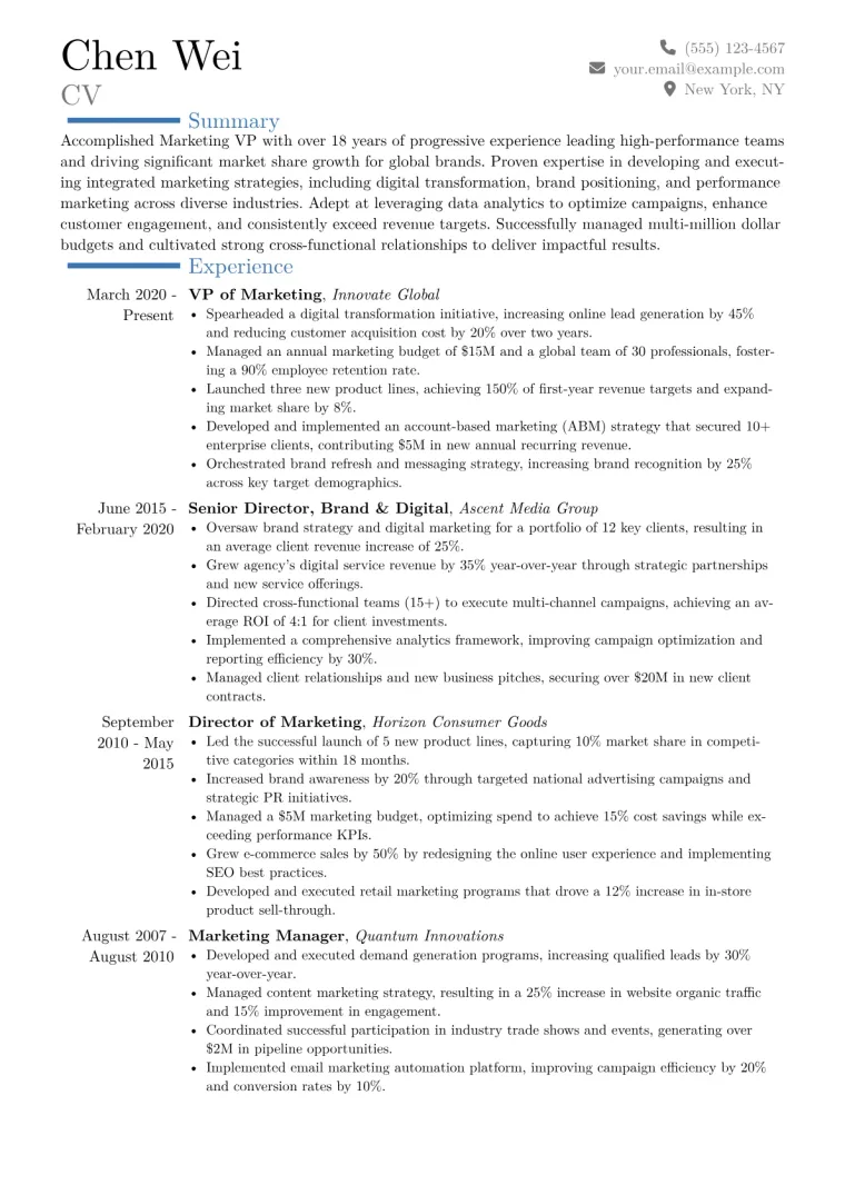 Marketing VP Resume Example CV template preview
