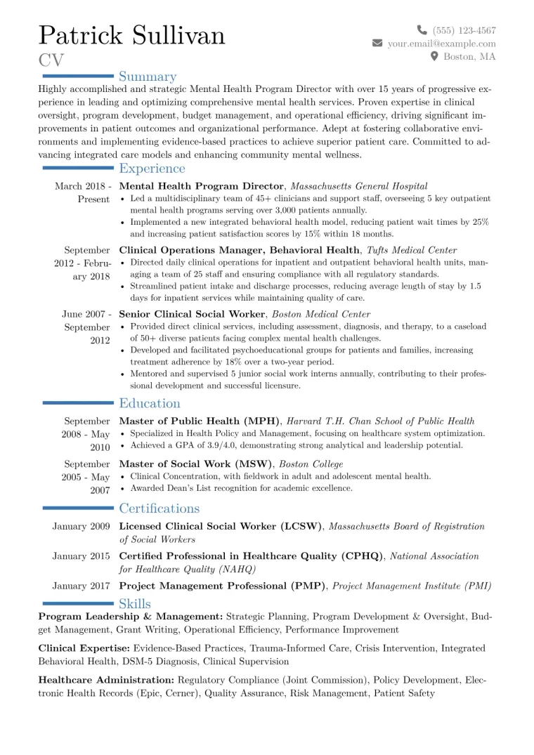 Mental Health Program Director Resume Example CV template preview