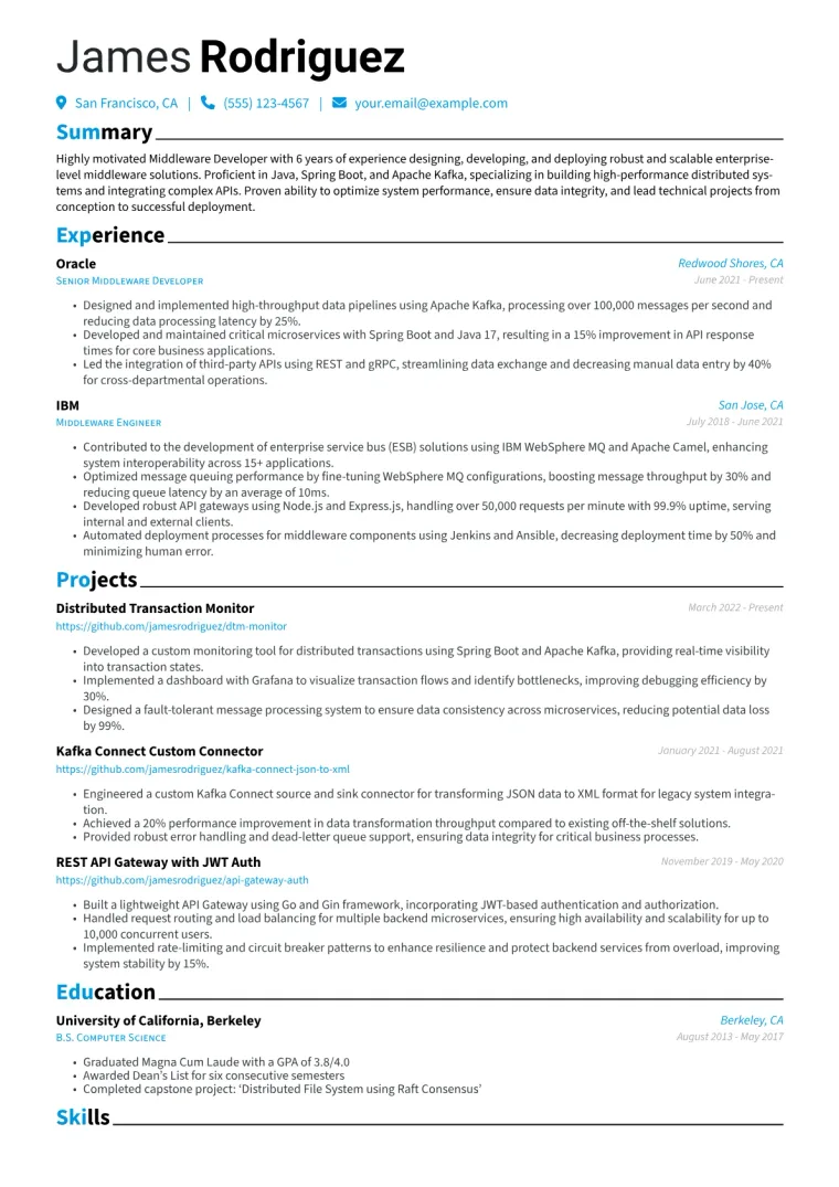 Middleware Developer Resume Example CV template preview