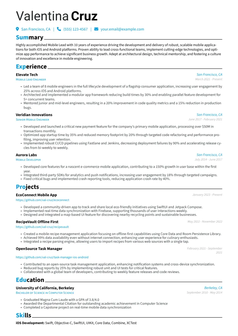 Mobile Lead Resume Example CV template preview