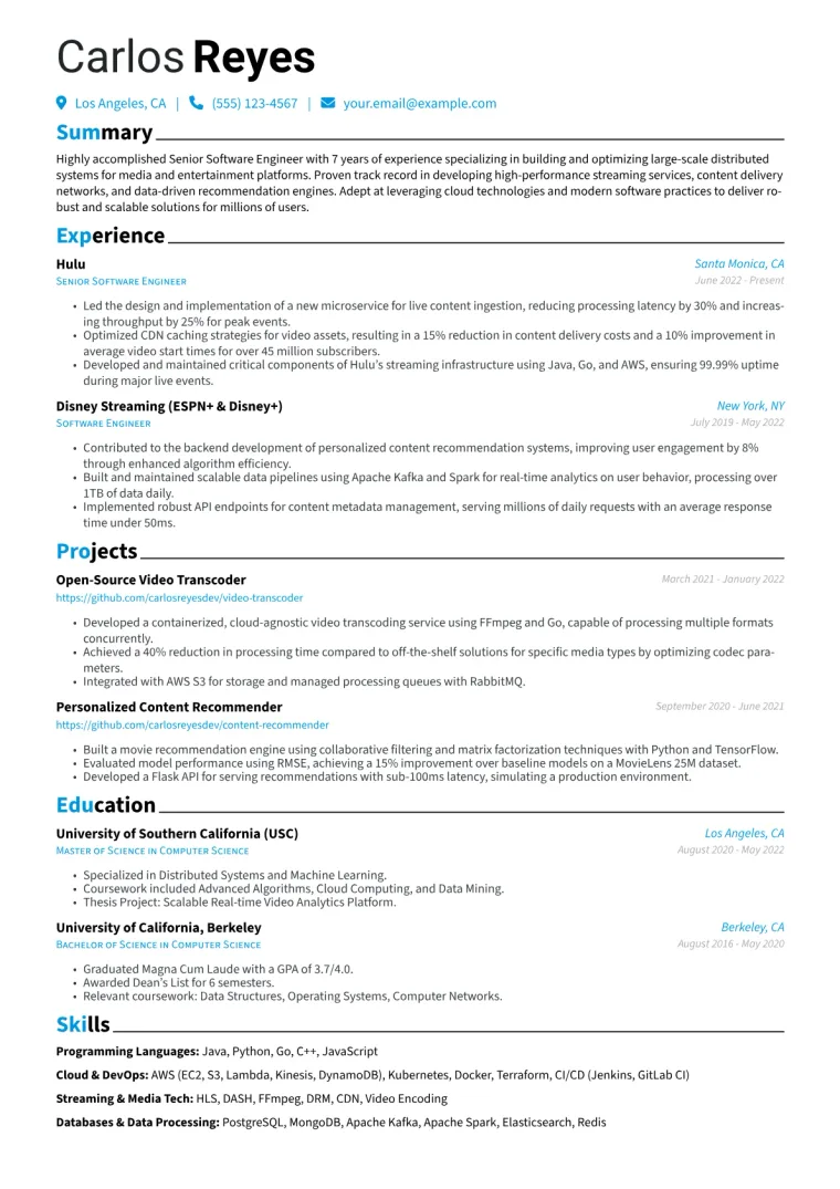 Netflix Resume Example CV template preview