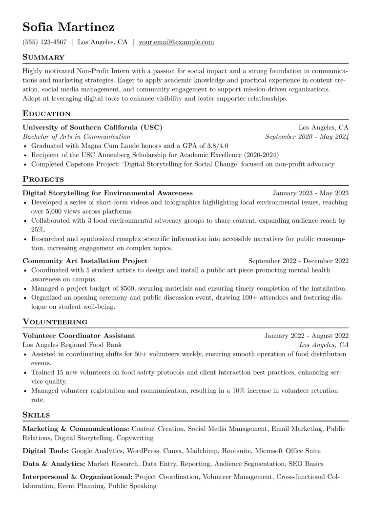 Non-Profit Intern Resume Example CV template preview