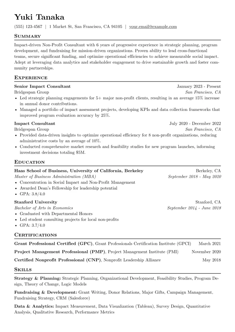 Non Profit Resume Example CV template preview