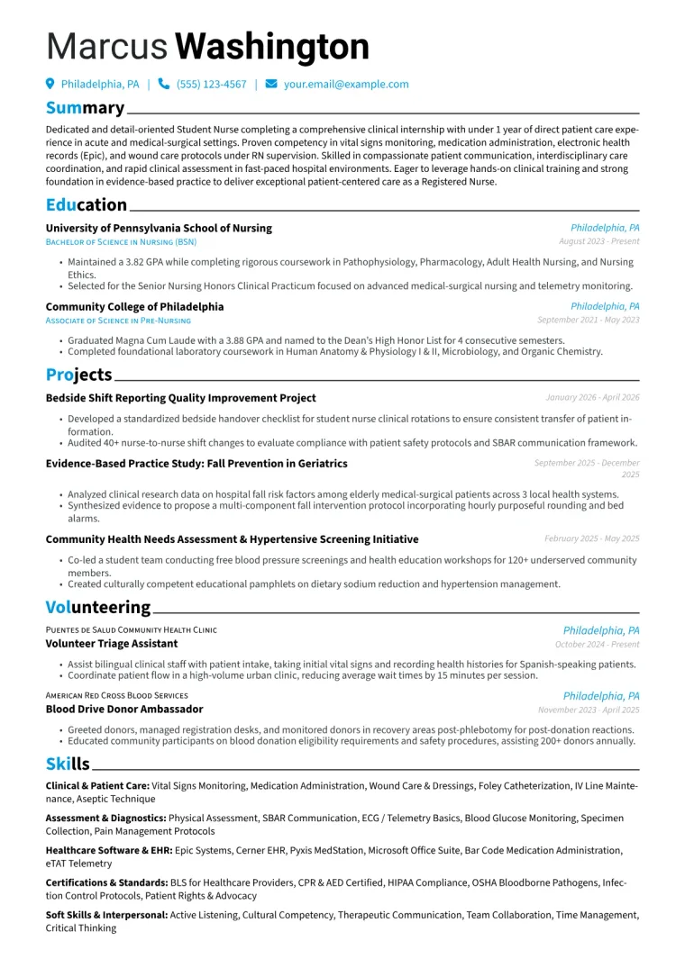 Nursing Internship Resume Example CV template preview