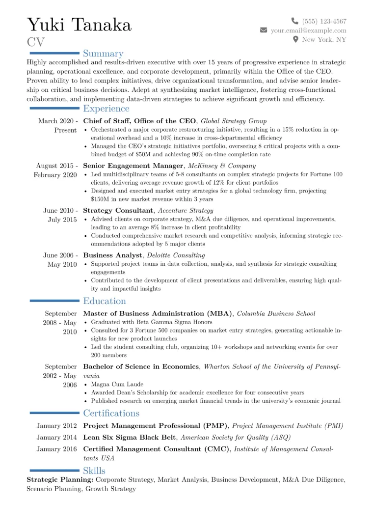 Office of the CEO Resume Example CV template preview