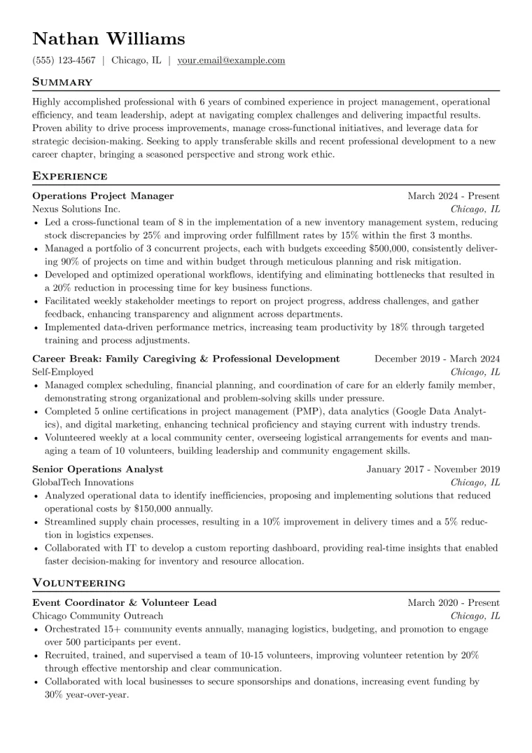 Older Worker Resume Example CV template preview