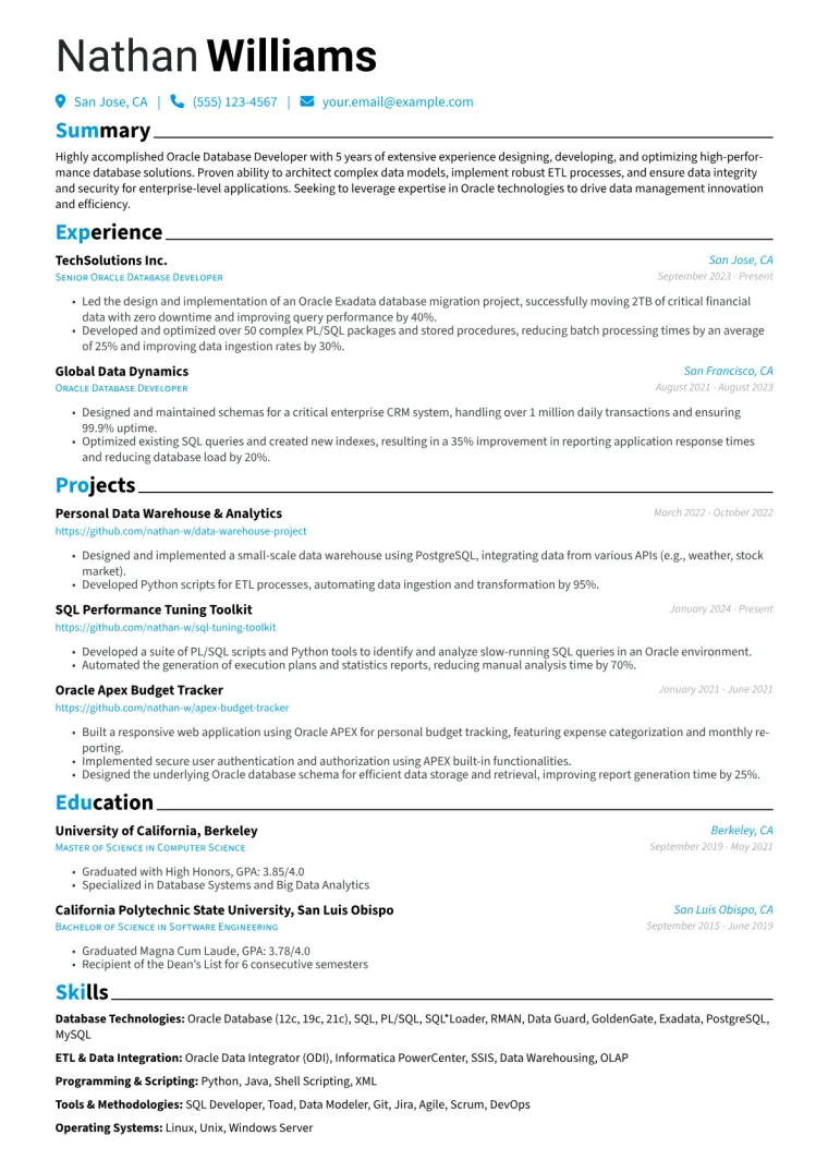 Oracle Database Developer Resume Example preview