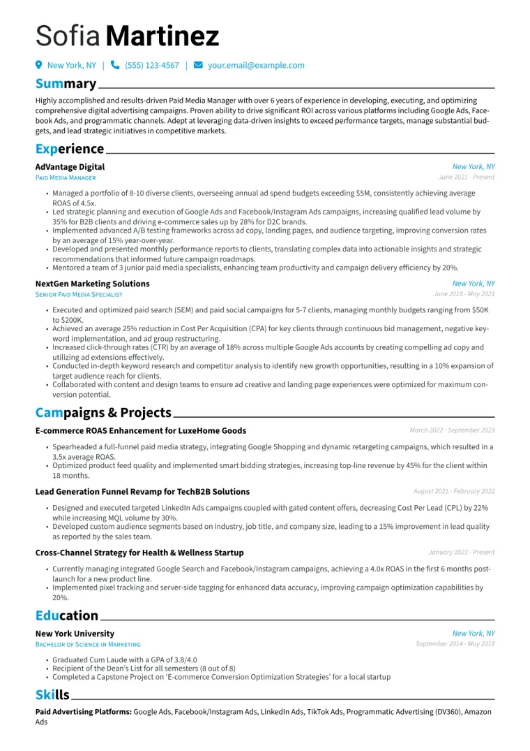 Paid Media Manager Resume Example CV template preview