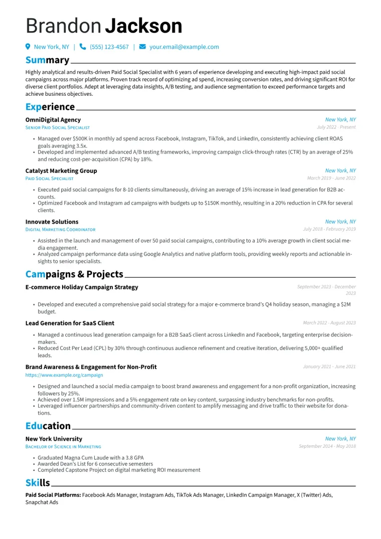Paid Social Specialist Resume Example CV template preview