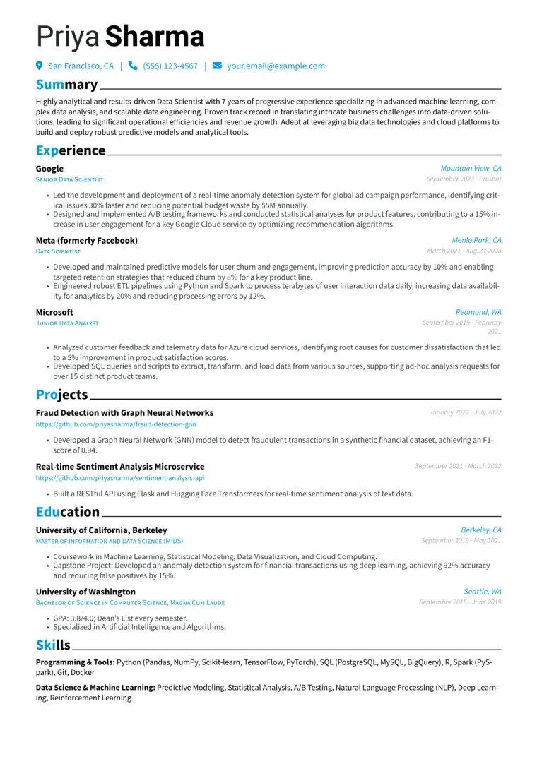 Palantir Resume Example CV template preview