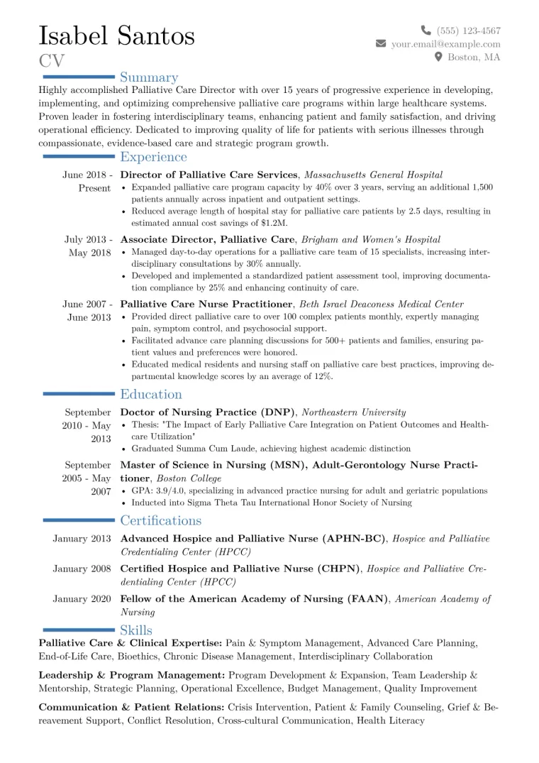 Palliative Care Director Resume Example CV template preview