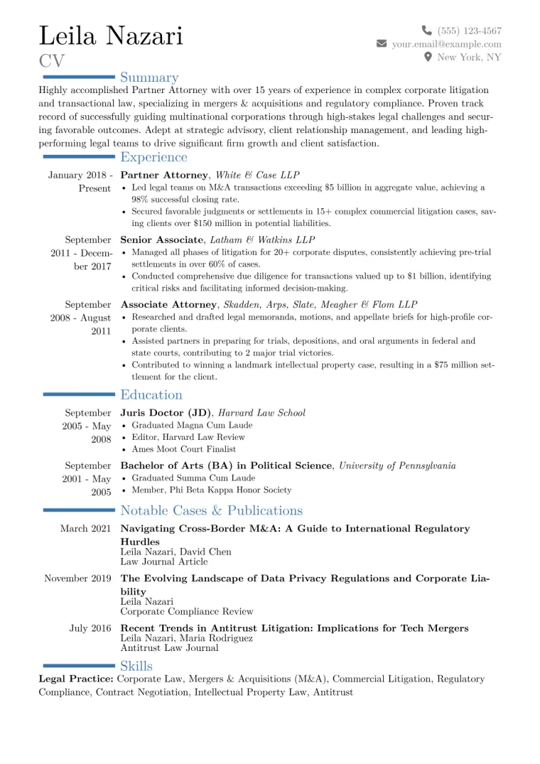 Partner Attorney Resume Example CV template preview