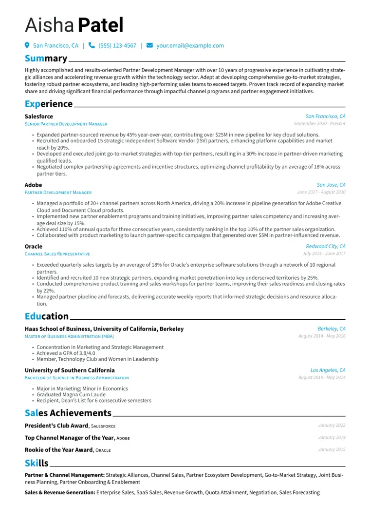 Partner Development Manager Resume Example CV template preview