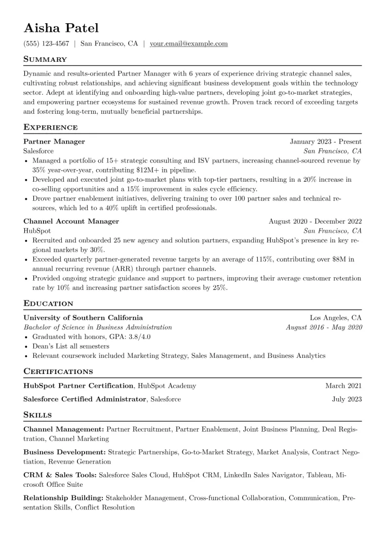 Partner Manager Resume Example preview