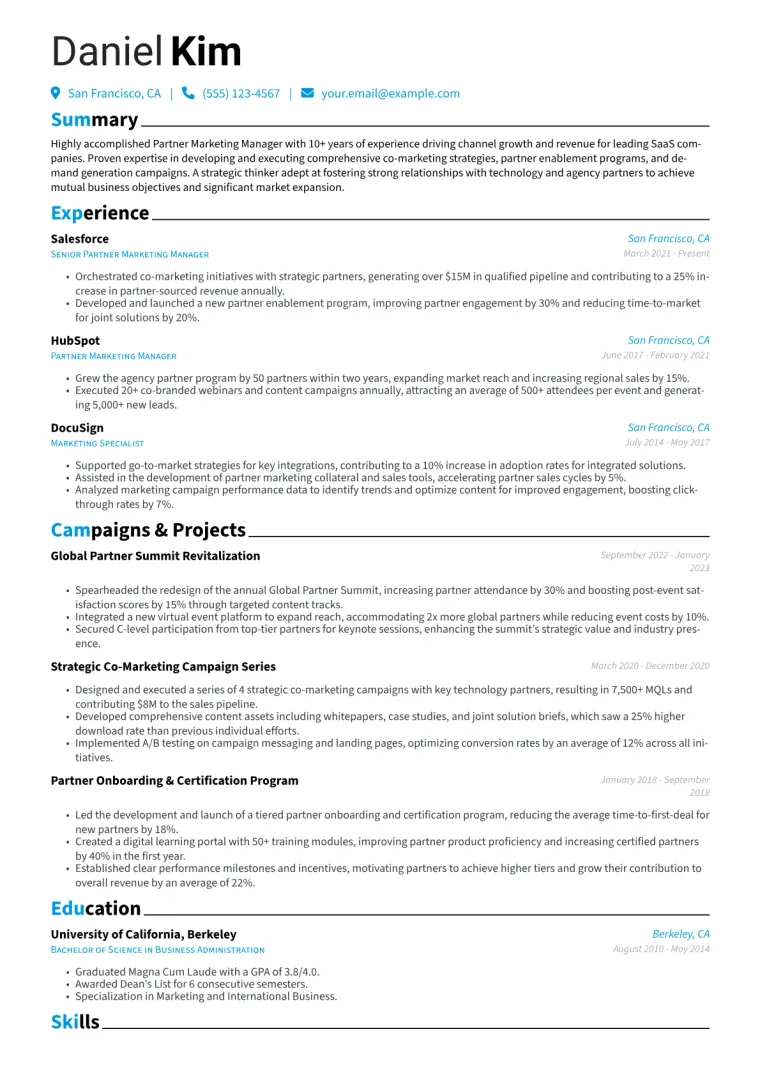 Partner Marketing Manager Resume Example CV template preview