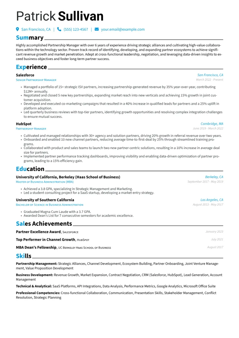 Partnership Manager Resume Example CV template preview