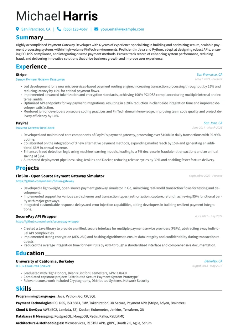 Payment Gateway Developer Resume Example CV template preview