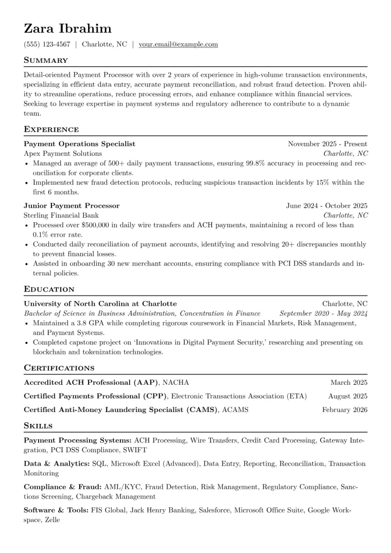 Payment Processor Resume Example CV template preview