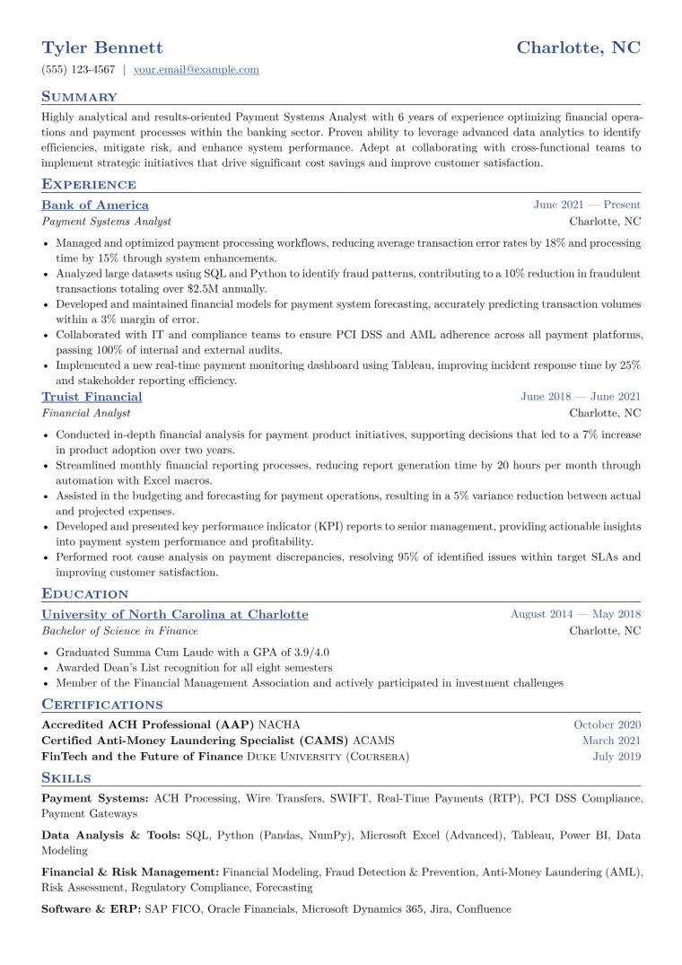 Payment Systems Analyst Resume Example CV template preview