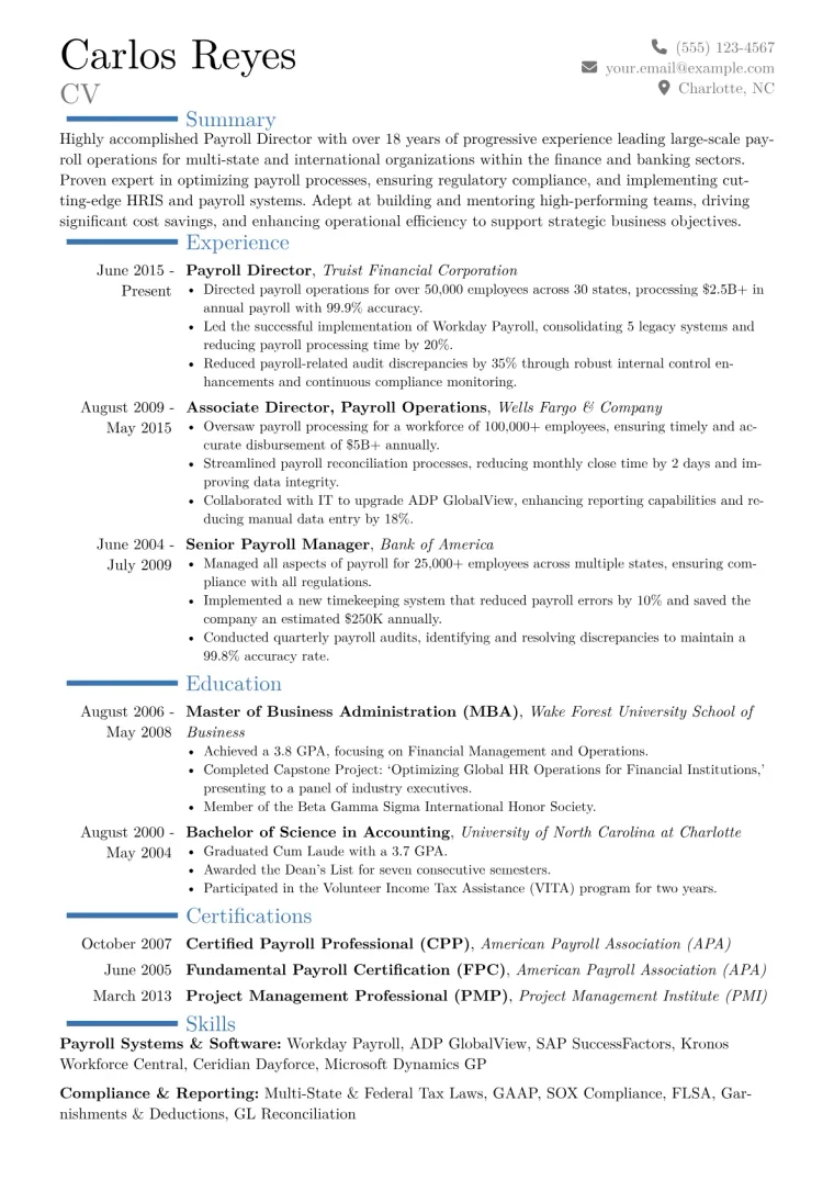 Payroll Director Resume Example CV template preview