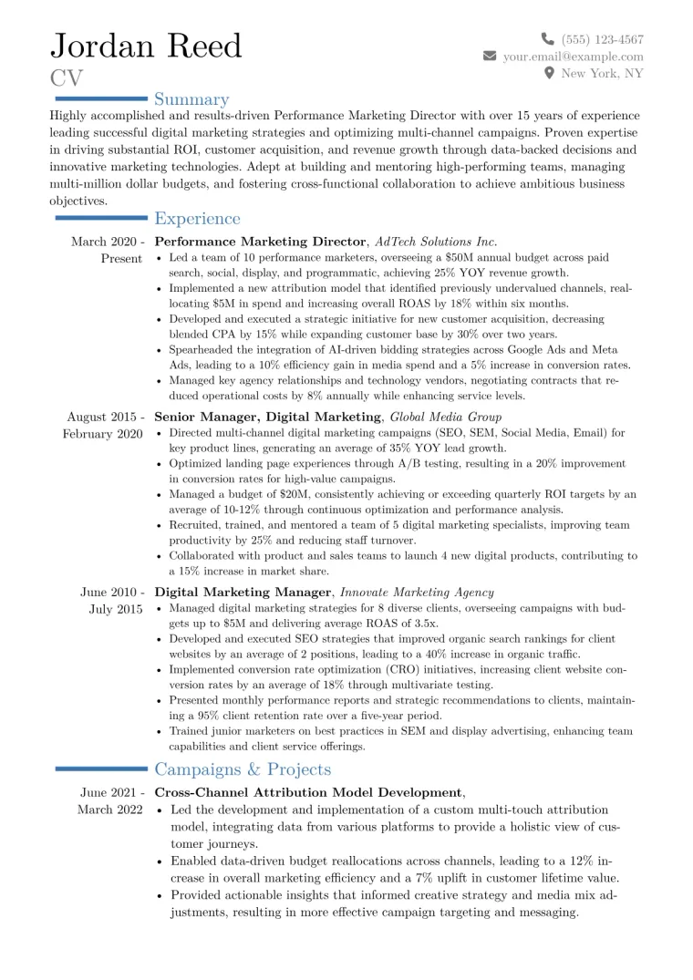 Performance Marketing Director Resume Example CV template preview