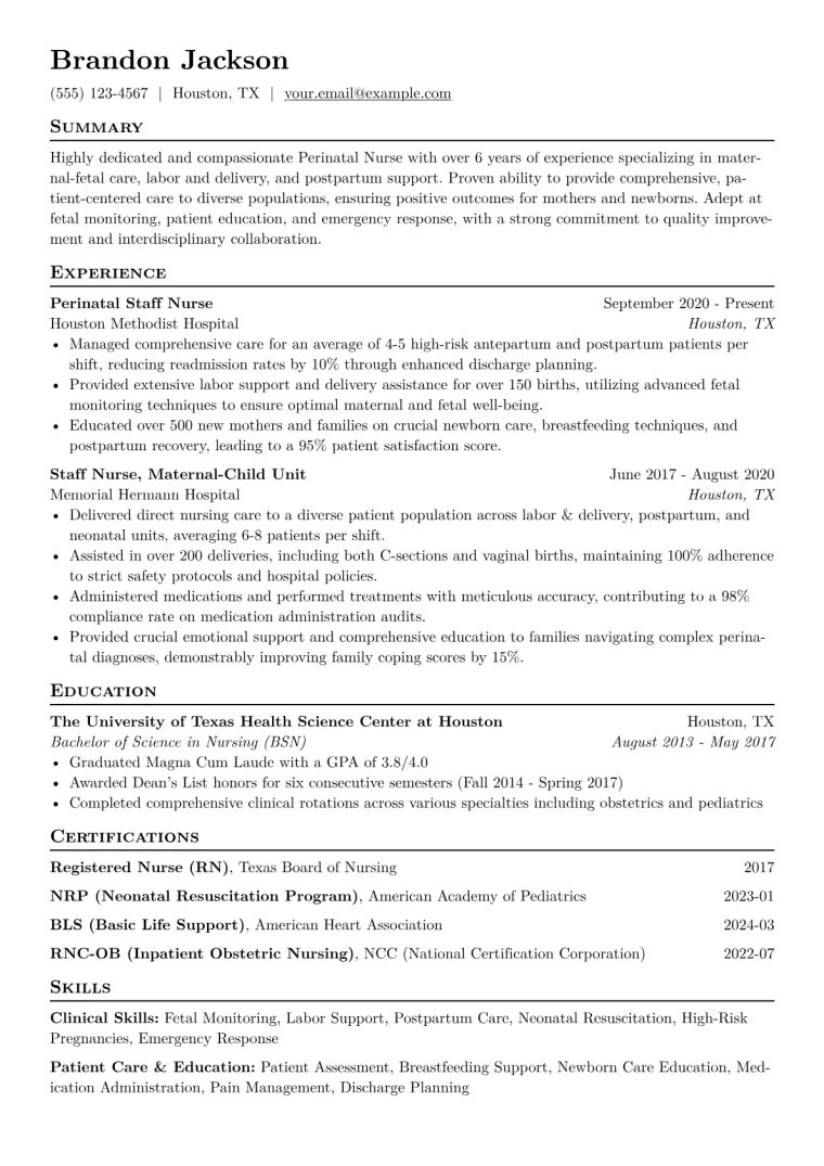 Perinatal Nurse Resume Example CV template preview