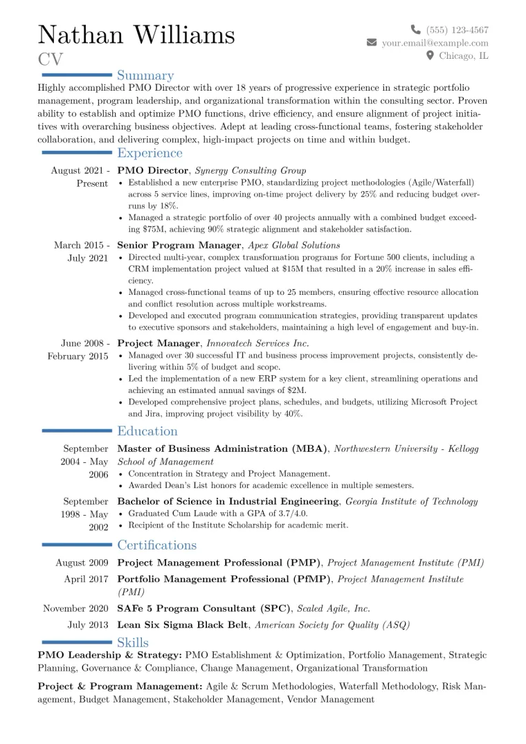 PMO Director Resume Example CV template preview