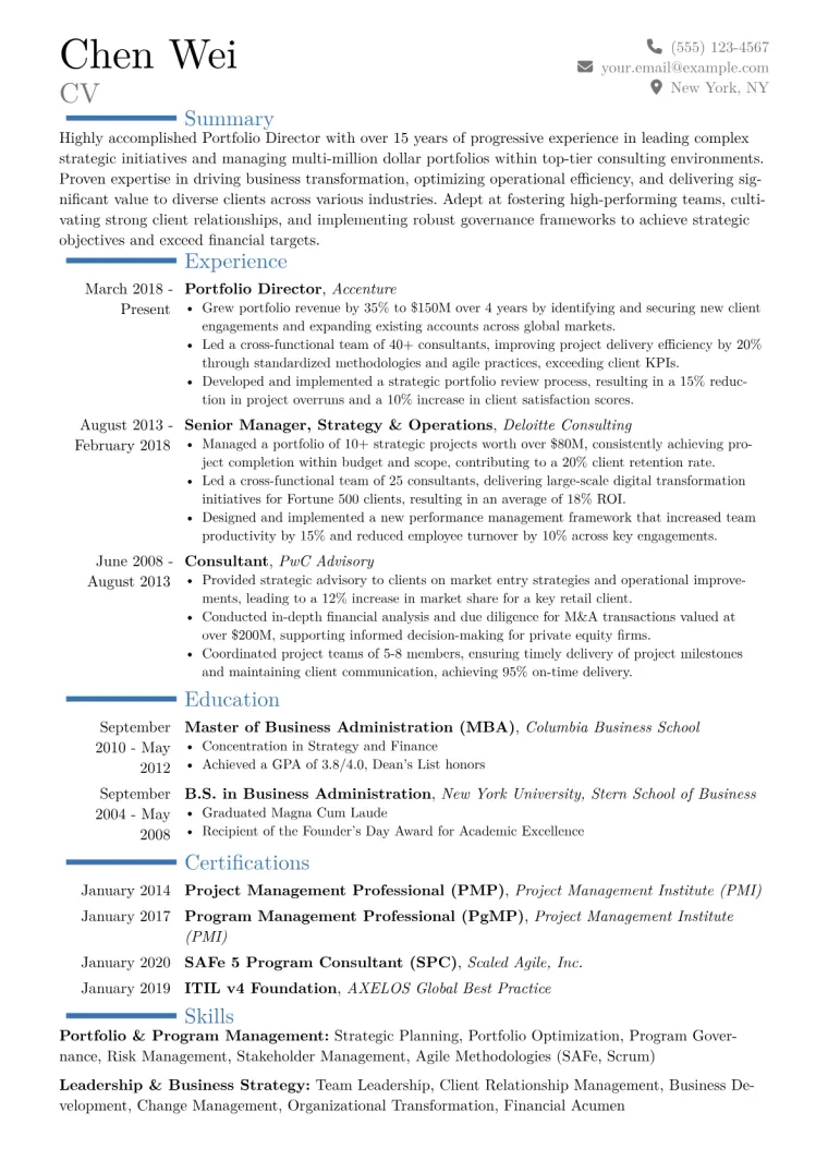 Portfolio Director Resume Example CV template preview