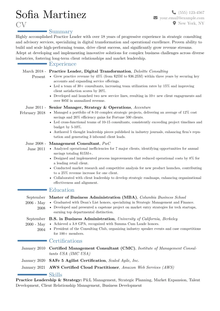 Practice Leader Resume Example CV template preview