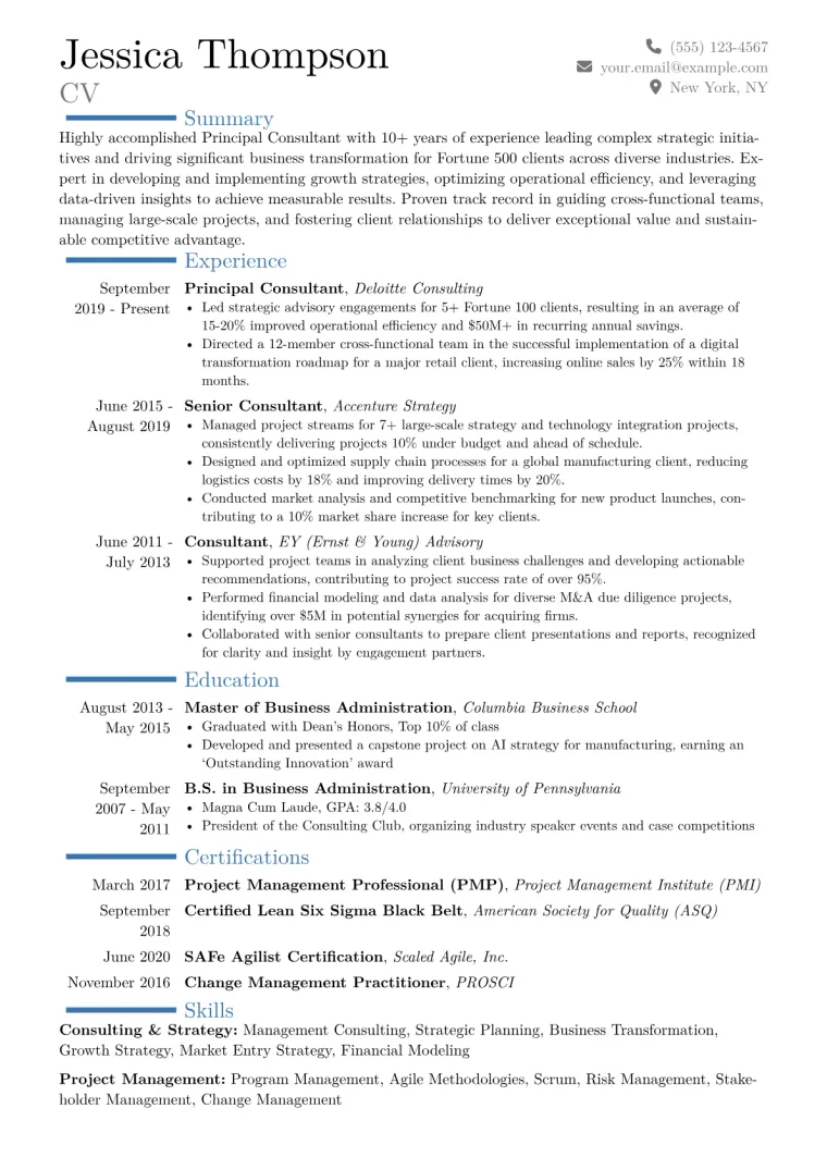 Principal Consultant Resume Example CV template preview