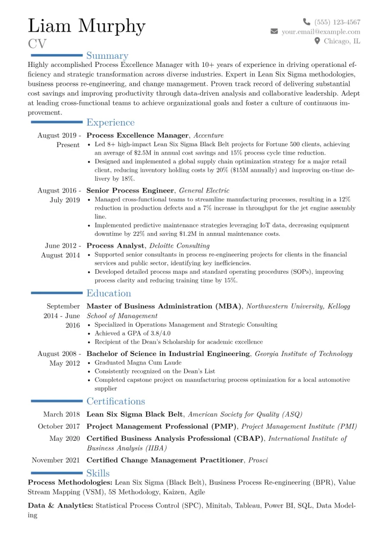Process Excellence Manager Resume Example CV template preview