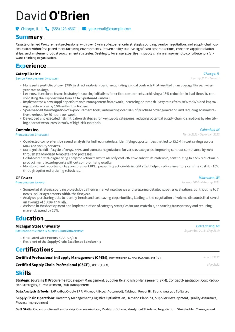 Procurement Resume Example CV template preview